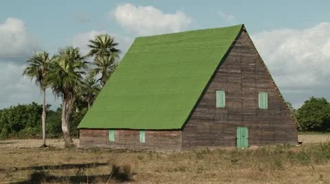 Vinales Tobacco Plantation Stock Footage
