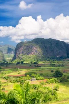 The vinales valley in cuba Stock Photos