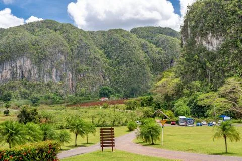 The vinales valley in cuba Stock Photos