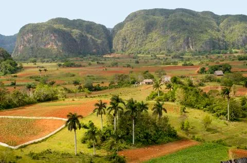 The Vinales Valley in Cuba Stock Photos