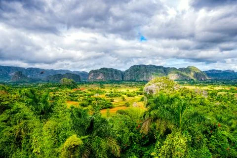 The Viñales valley in Cuba Stock Photos