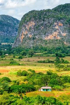 The Viñales valley in Cuba Stock Photos
