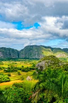 The Viñales valley in Cuba Stock Photos