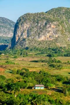 The Viñales valley in Cuba Stock Photos