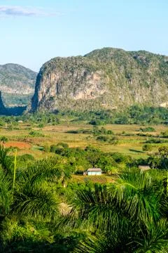 The Viñales valley in Cuba Stock Photos