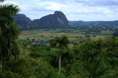Vinales Valley Cuba Stock Photos