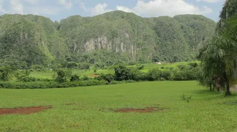 Vinales Valley Stock Footage 12185244
