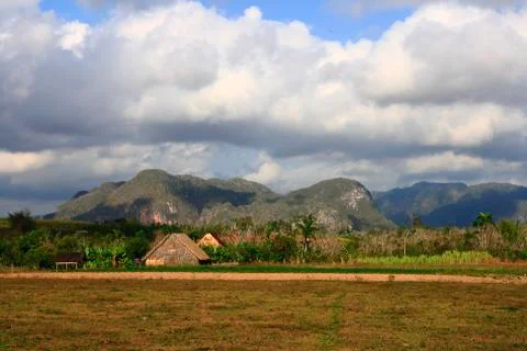 The vinales valley Stock Photos