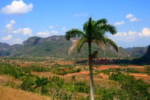 The vinales valley Stock Photos