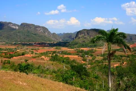 The vinales valley Stock Photos
