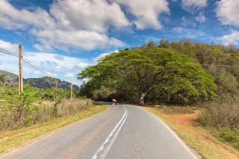 Vinales Valley Stockfoto's
