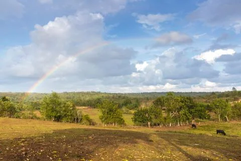 Vinales valley Stock Photos