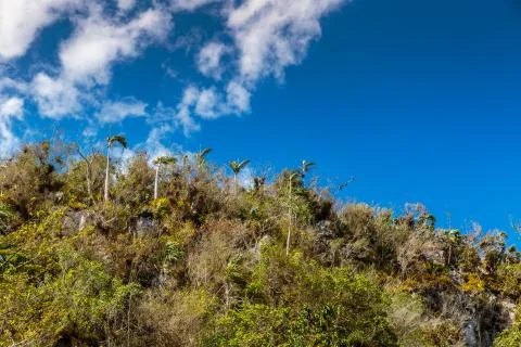 Vinales valley Stockfoto's