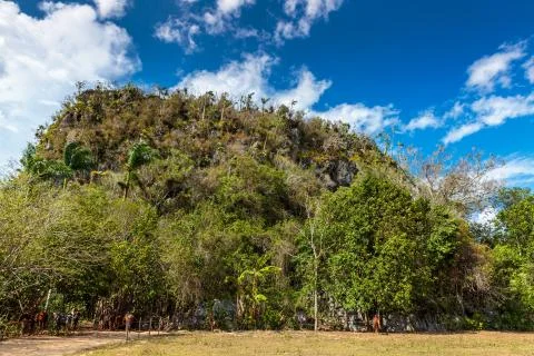 Vinales valley Stock Photos