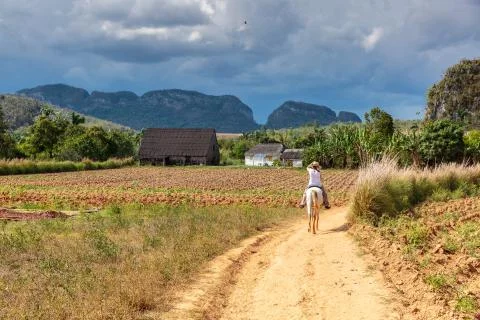 Vinales valley Stock Photos