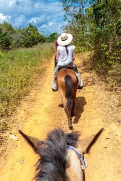 Vinales valley Stock Photos