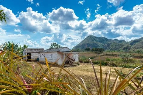 Vinales valley Stock Photos