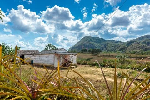 Vinales valley Stock Photos