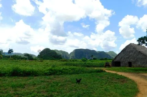 Vinales Valley Фото