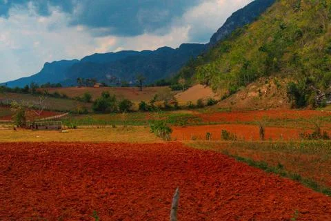 Vinales valley Stock Photos