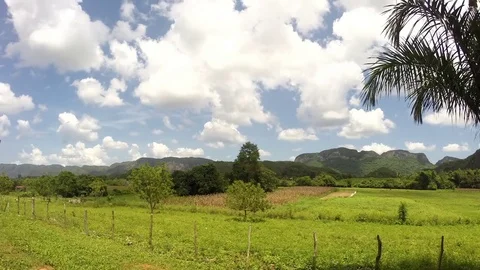 Vinales, western Cuba Stock Footage 79682097