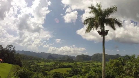 Vinales, western Cuba Video stock 79682132