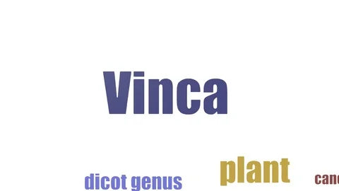 Vinca Word Cloud Animated Isolated On White Stock Footage 103095759