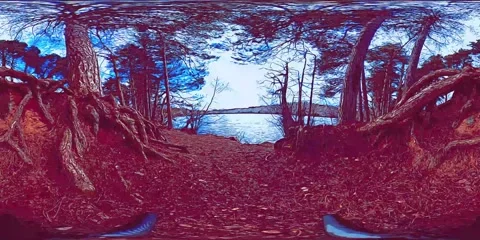 Vincent Van Gogh Style 360 VR Cloudy National Park Forest Water River Lake Stock-Footage 171998727