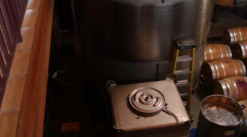 Vine Barrels Stock Footage 49835312