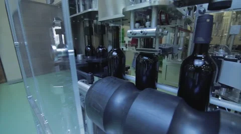 Vine bottle trimming Stock Footage 54544364