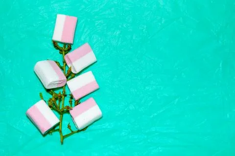 A vine branch that has marshmallows instead of berries, on a turquoise backgr Foto stock
