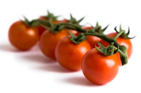 Vine cherry tomatoes Stock Photos