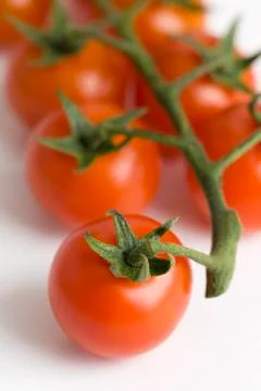Vine cherry tomatoes Stock Photos