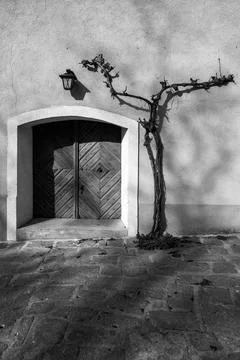 Vine climbs to the door. Fotos de archivo