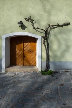 Vine climbs to the door. Фото