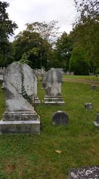 A vine-covered gravestone Stock Photos