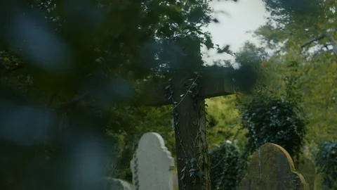 Vine Covered Headstone Stock Footage 285398471