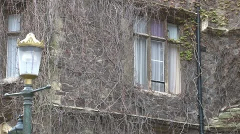 Vine Covered Hotel Video stock 11522510