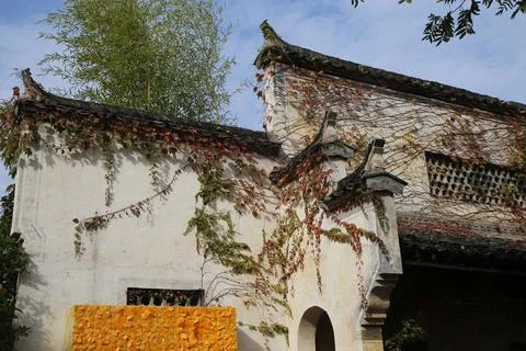 Vine covered whitewashed facade with an arched doorway and dark tiled roof Фото