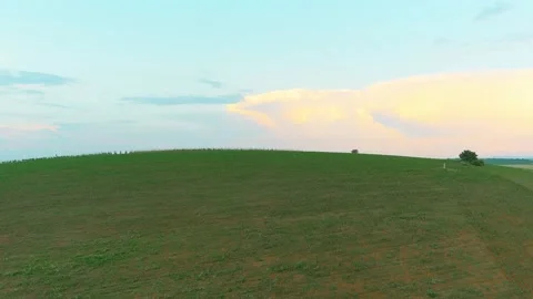 Vine Field on Top Hill Grape Wine Morning Dawn Sun Rise Aerial Drone 6K Vídeo Stock 135622755