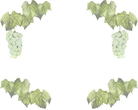 Vine frame Stock Illustration