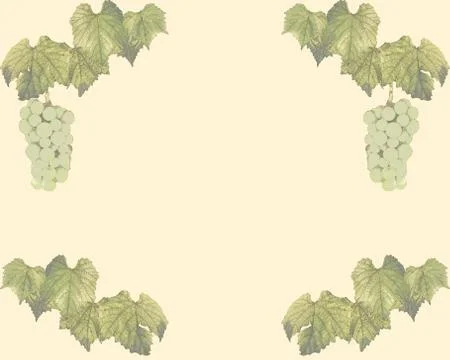 Vine frame Stock Illustration