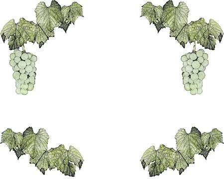 Vine frame Stock Illustration