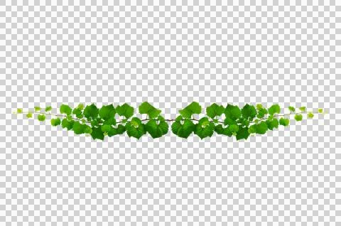 Vine frame leaf vine circle Isolate on transparent background PNG file Stock Illustration