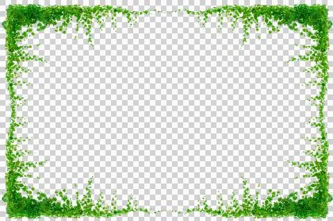 Vine frame leaf vine circle Isolate on transparent background PNG file Stock Photos
