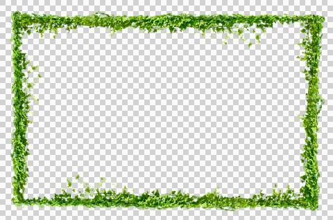 Vine frame leaf vine circle Isolate on transparent background PNG file Stock Photos