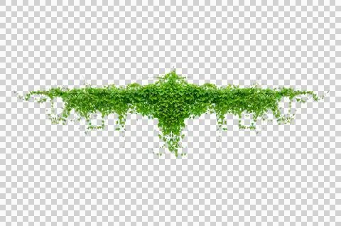 Vine frame leaf vine circle Isolate on transparent background PNG file Stock Photos