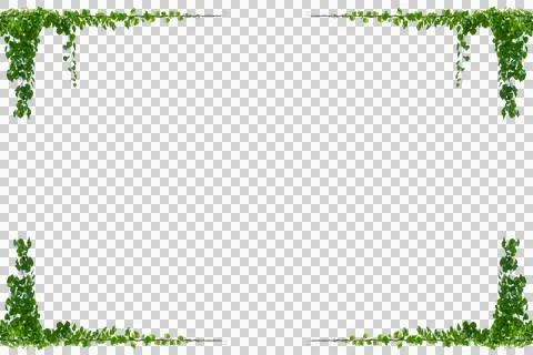 Vine frame leaf vine circle Isolate on transparent background PNG file Stock Photos