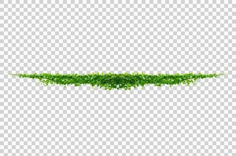 Vine frame leaf vine Isolate on transparent background PNG file 库存照片