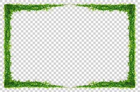 Vine frame leaf vine Isolate on transparent background PNG file Stock Photos